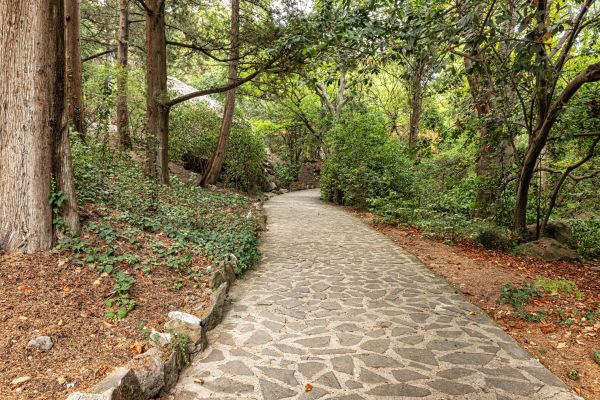 Stone Walkway Repair in Hollywood