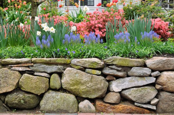 Stone Wall Hardscaping in Hollywood