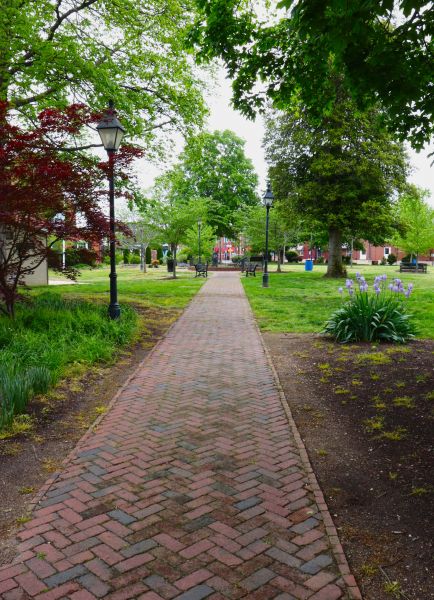 Brick Pathway Repair in Hollywood