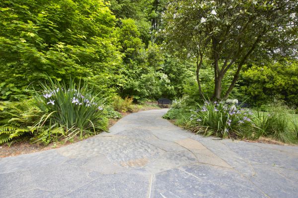 Stone Hardscape Service in Hollywood