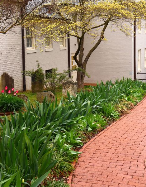 Brick Flatwork Repair in Hollywood